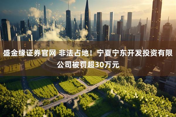 盛金缘证券官网 非法占地！宁夏宁东开发投资有限公司被罚超30万元