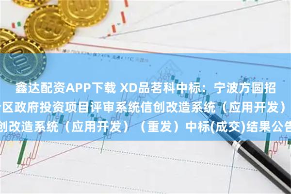 鑫达配资APP下载 XD品茗科中标：宁波方圆招标咨询有限公司关于北仑区政府投资项目评审系统信创改造系统（应用开发）（重发）中标(成交)结果公告