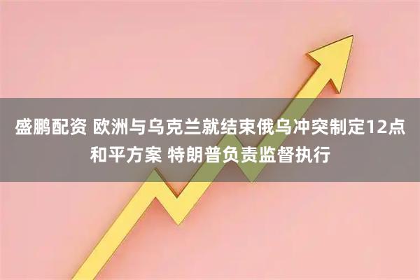 盛鹏配资 欧洲与乌克兰就结束俄乌冲突制定12点和平方案 特朗普负责监督执行