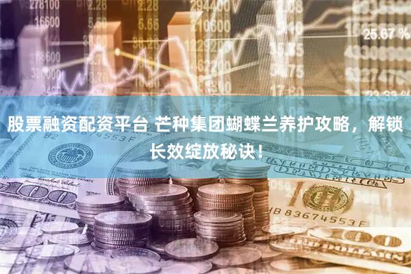 股票融资配资平台 芒种集团蝴蝶兰养护攻略，解锁长效绽放秘诀！